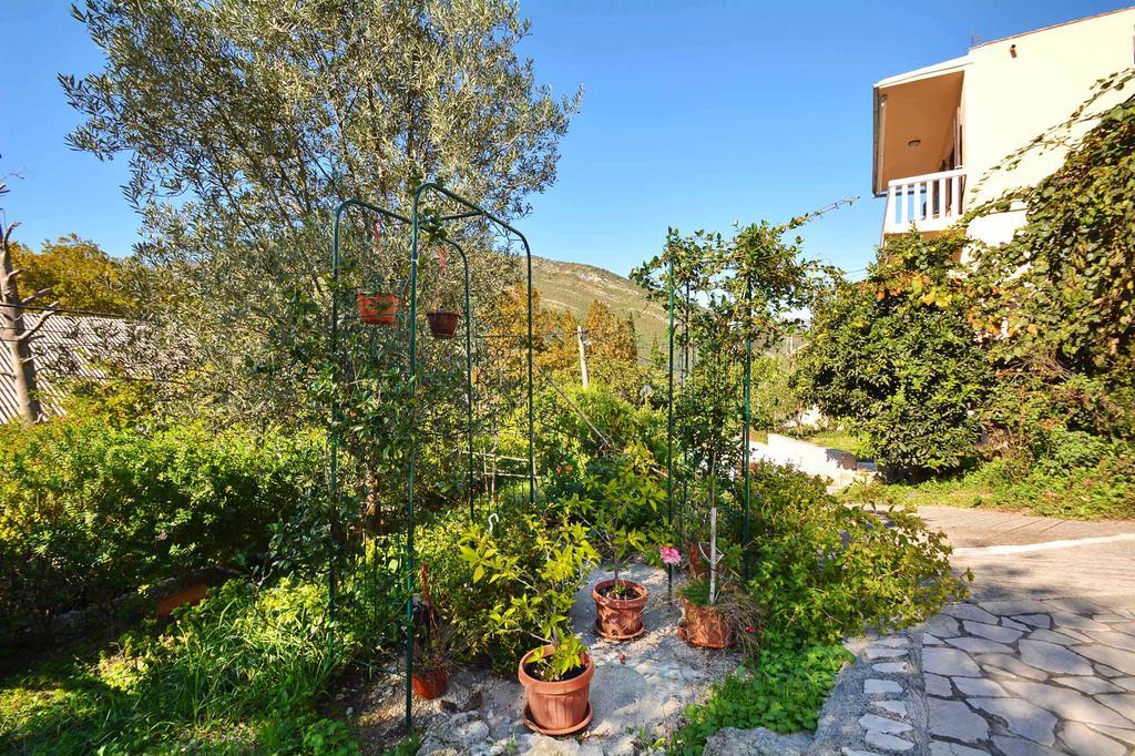 Apartment Rita Tivat Exteriör bild